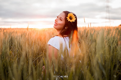 PEDRO ALVES FOTOGRAFIA