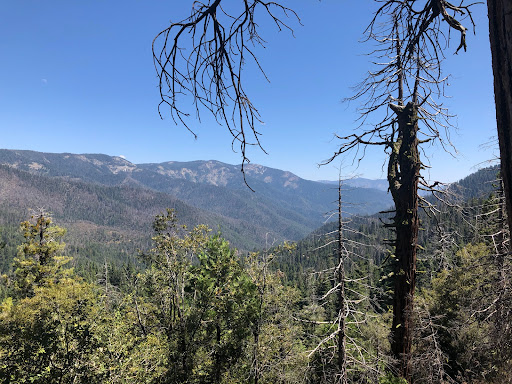 Fraiser mills camp ground Gallery - United States