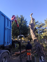 Photo n°12 de SARL FAYARD à Le Thor (Service d'abattage à domicile)