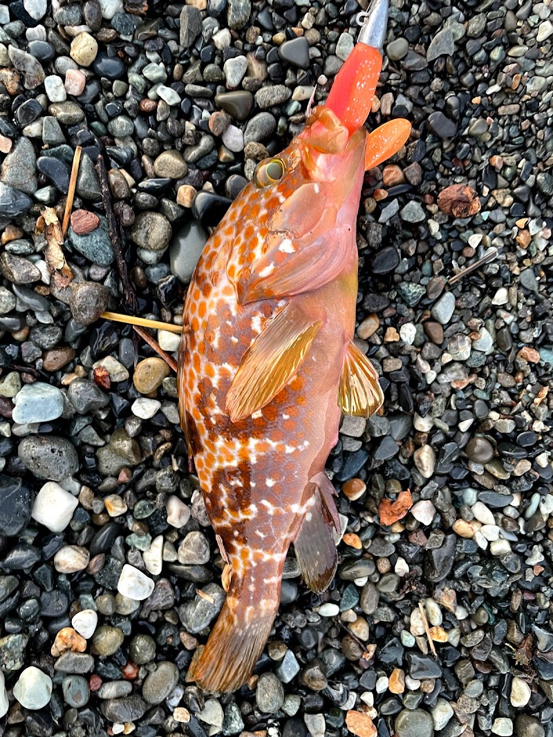 インター釣具倶楽部