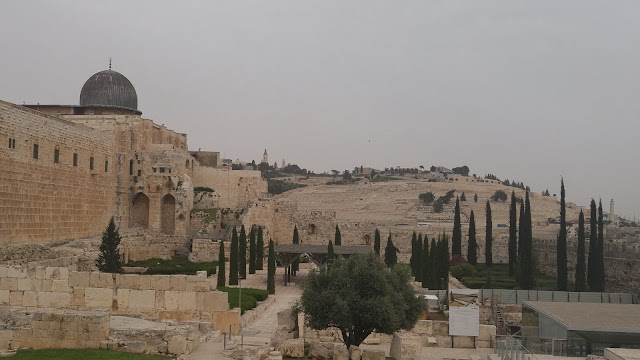 Old City