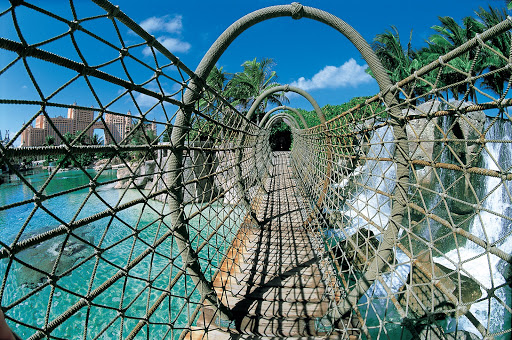 Predator Lagoon - Visual