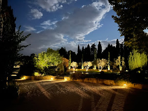 Photo n°84 de Mas Millésime à Mas-Blanc-des-Alpilles (Fabricant d'huile d'olive)