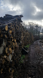 Photo n°19 de Bois De Chauffage Essonne Breuillet, livraison et sur place bois bûches pour poêle, cheminée 91 Bois sec de 4 ans en stock! à Breuillet (Exploitation forestière)