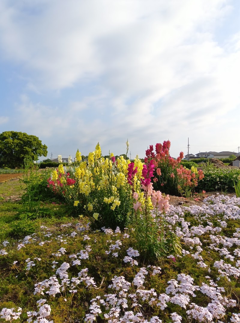 山の神オーガニックガーデン