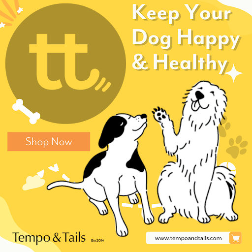 Tempo and Tails - Thumbnail