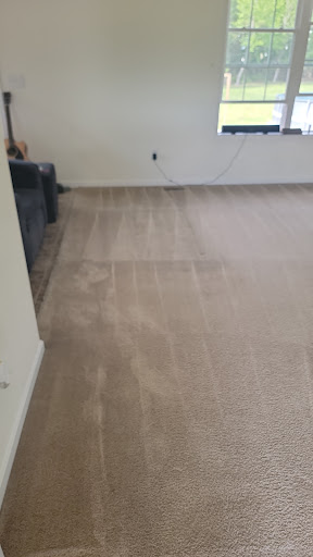Worms Quality Carpet Care and Commercial Cleaning, LLC - Thumbnail
