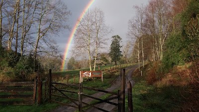Photos of Los Lingues