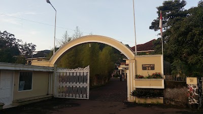 Photos of Irian Plant