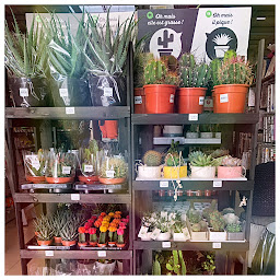 Photo n°9 de Centrakor Fonsorbes à Fonsorbes (Magasin d'ameublement d'extérieur)