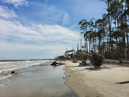 Hunting Island State Park - Thumbnail