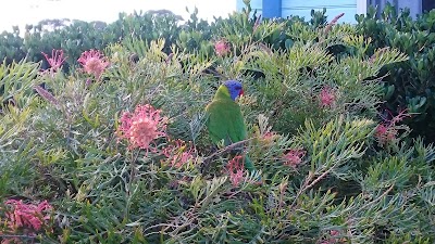 Photos of Lake Tabourie Holiday Park