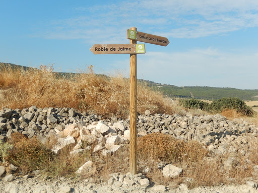 Carrasca de Eusebio - Visual