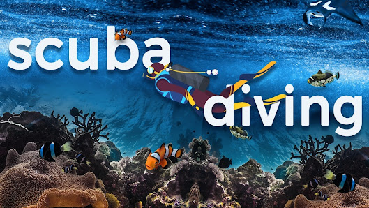 West Coast Adventures - By owner