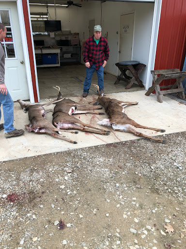 White Tail Deer Processing - Visual