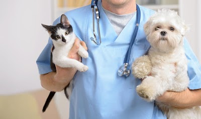 Photos of Green Camp Veterinary Clinic