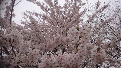 札幌市 新川水処理センター