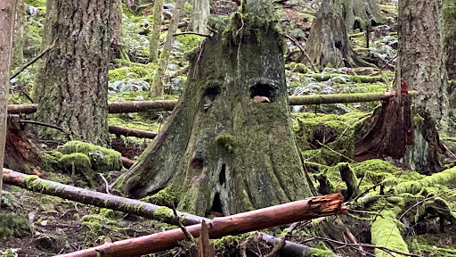 Rolley Lake Trail - Thumbnail