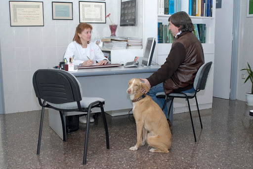 Centre Veterinari Cerdanyola