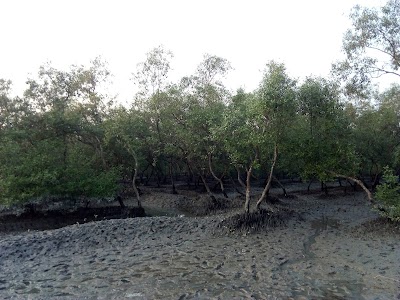 Photos of Gobra Char Forest