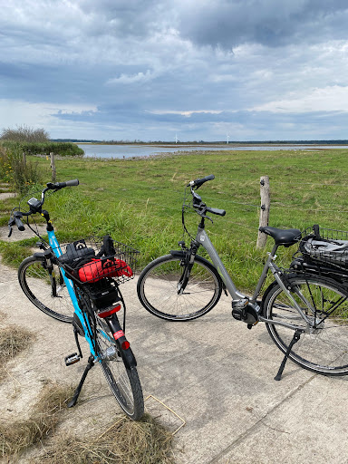 Pedal Power - Fahrradverleih Prerow & Zingst | Station 5 - Thumbnail