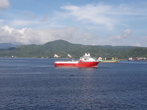 Pelabuhan Perikanan Nusantara Ambon, Author: Erwin Rustam