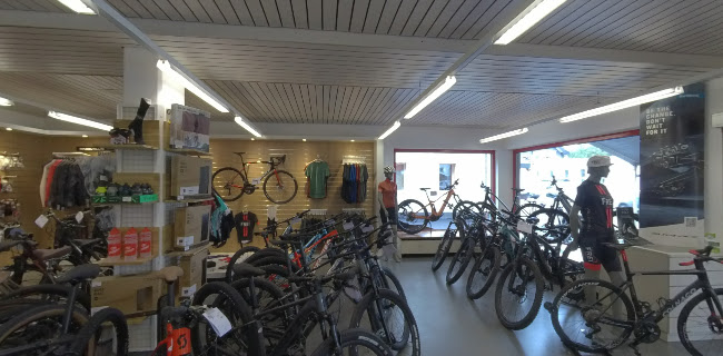 Radsport Frei GmbH Telefonnummer