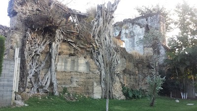 Photos of Parque Federico Areano