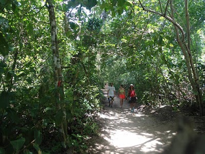 Photos of Punta Cahuita