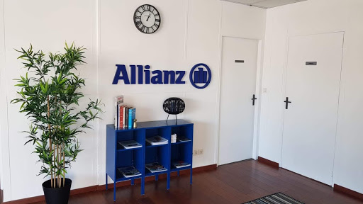 Allianz Assurance L'ISLE JOURDAIN - Alexandre PAPALIA Gallery - France