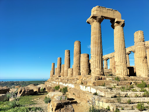 Doric Bar - Visual