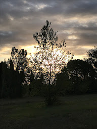 Photo n°19 de Le Mas petit à Thuir (Chambre d'hôtes)