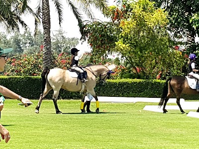 photo of Desert Palm Polo Club