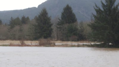 Nehalem Shores RV Park