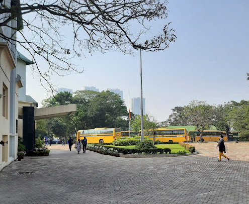 Af1qipofa1zkxwoyoedsdpmozz5szsvtrrygs2cpiwre=s495 K No