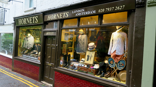 Hornets - Visual