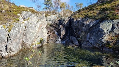 Photos of &Aring;nderdalen National Park