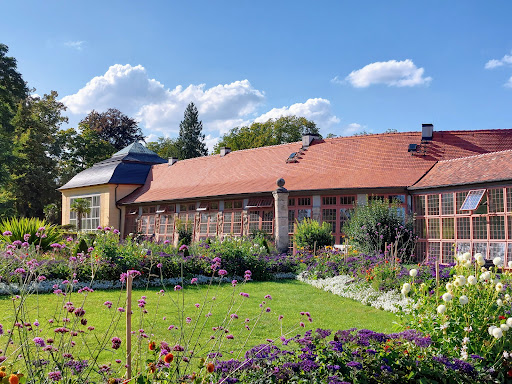 Orangerie Belvedere - Visual
