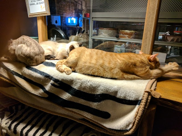 London Cat Village