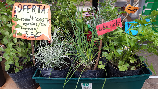 Vivero Un jardín del Conurbano - Foto 1