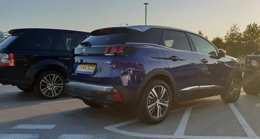 Peugeot Car Dealership Logo