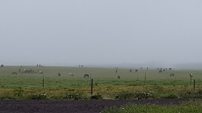 Photos of Saltv&iacute;k Guesthouse