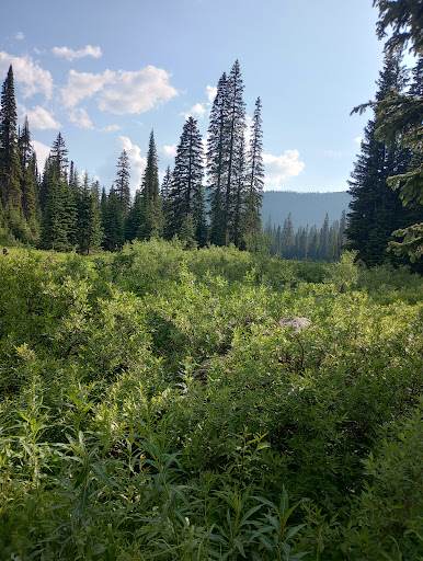 Red Meadow Lake Campground - Thumbnail