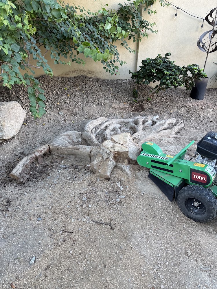 Stump Removal Arizona – photo 2 of 3