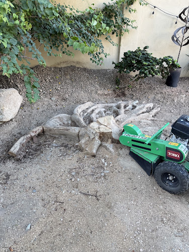 Stump Removal Arizona