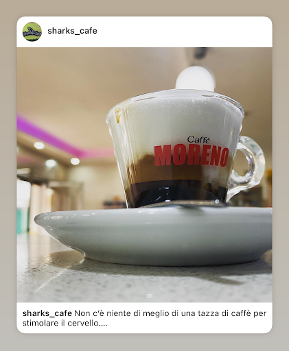 Shark's Cafè - Visual