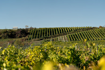 Vignoble Domaine L'Ange-Gardien 6869 Ave Royale, L'Ange-Gardien, QC G0A 2K0, Canada