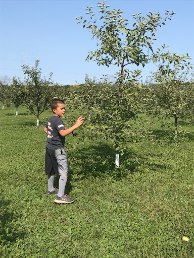 Honey Creek Orchard - Thumbnail