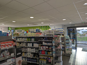 Photo n°6 de Pharmacie Le Vaillant à Theix-Noyalo (Pharmacie)