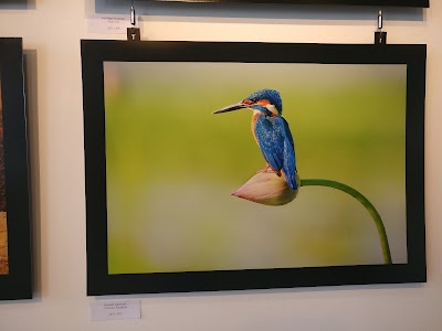 Photos of Cartoon Art Gallery